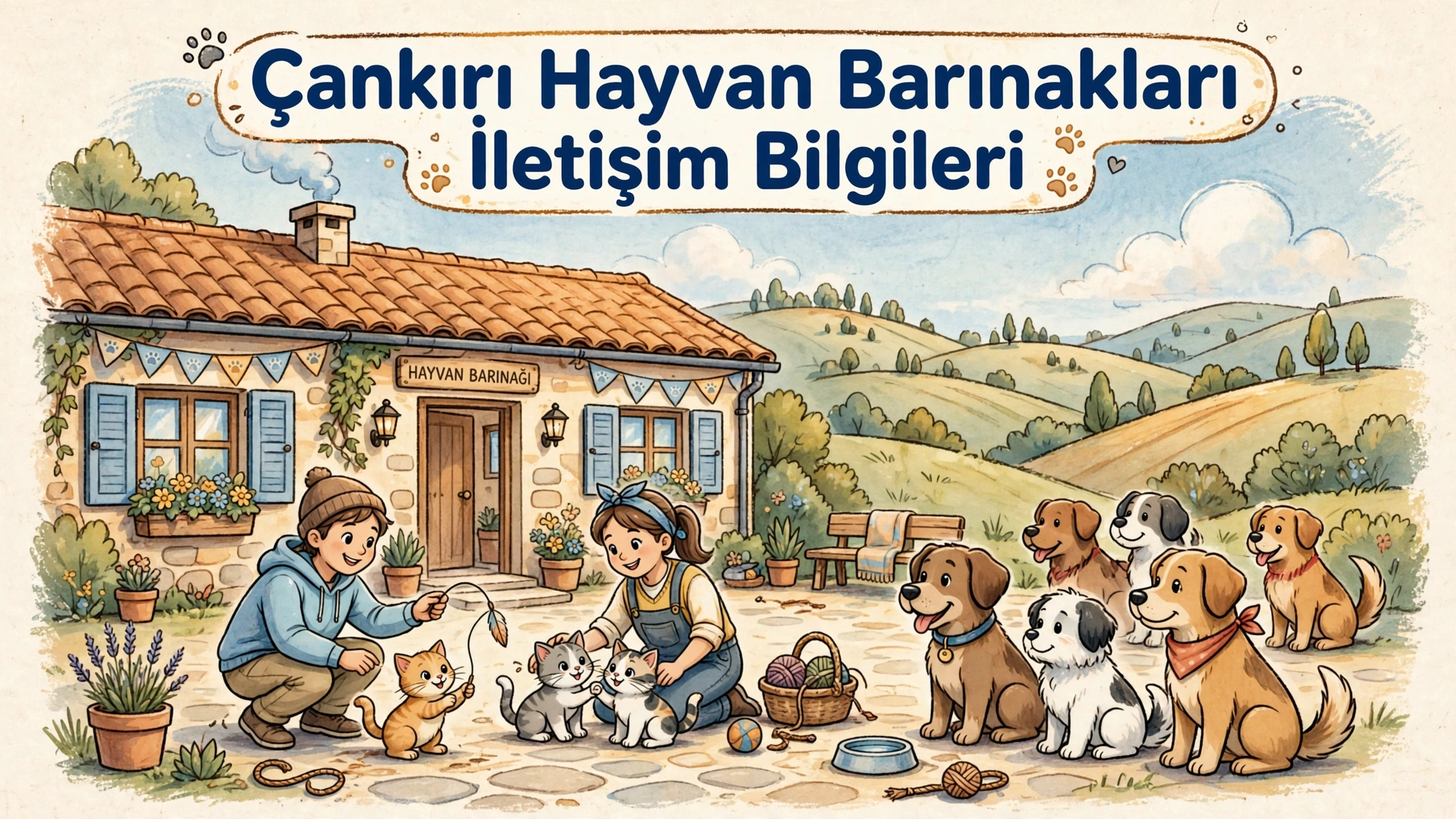 Çankırı Hayvan Barınakları Listesi | Telefon, Adres ve Konum