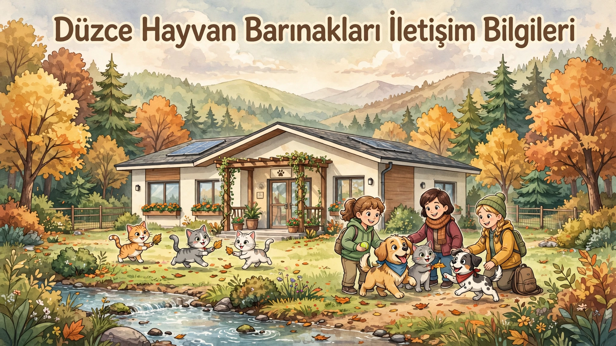 Düzce Hayvan Barınakları Listesi | Telefon, Adres ve Konum