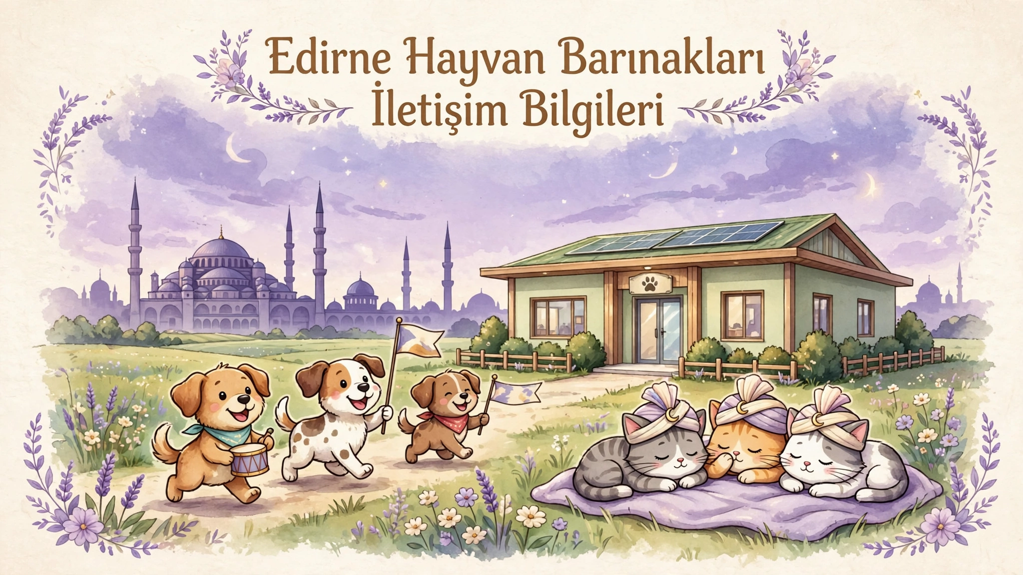 Edirne Hayvan Barınakları Listesi | Telefon, Adres ve Konum